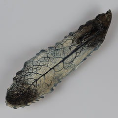 Smoked Kale Pottery Leaf