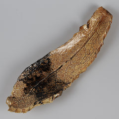 Smokin' Teal Pottery Leaf