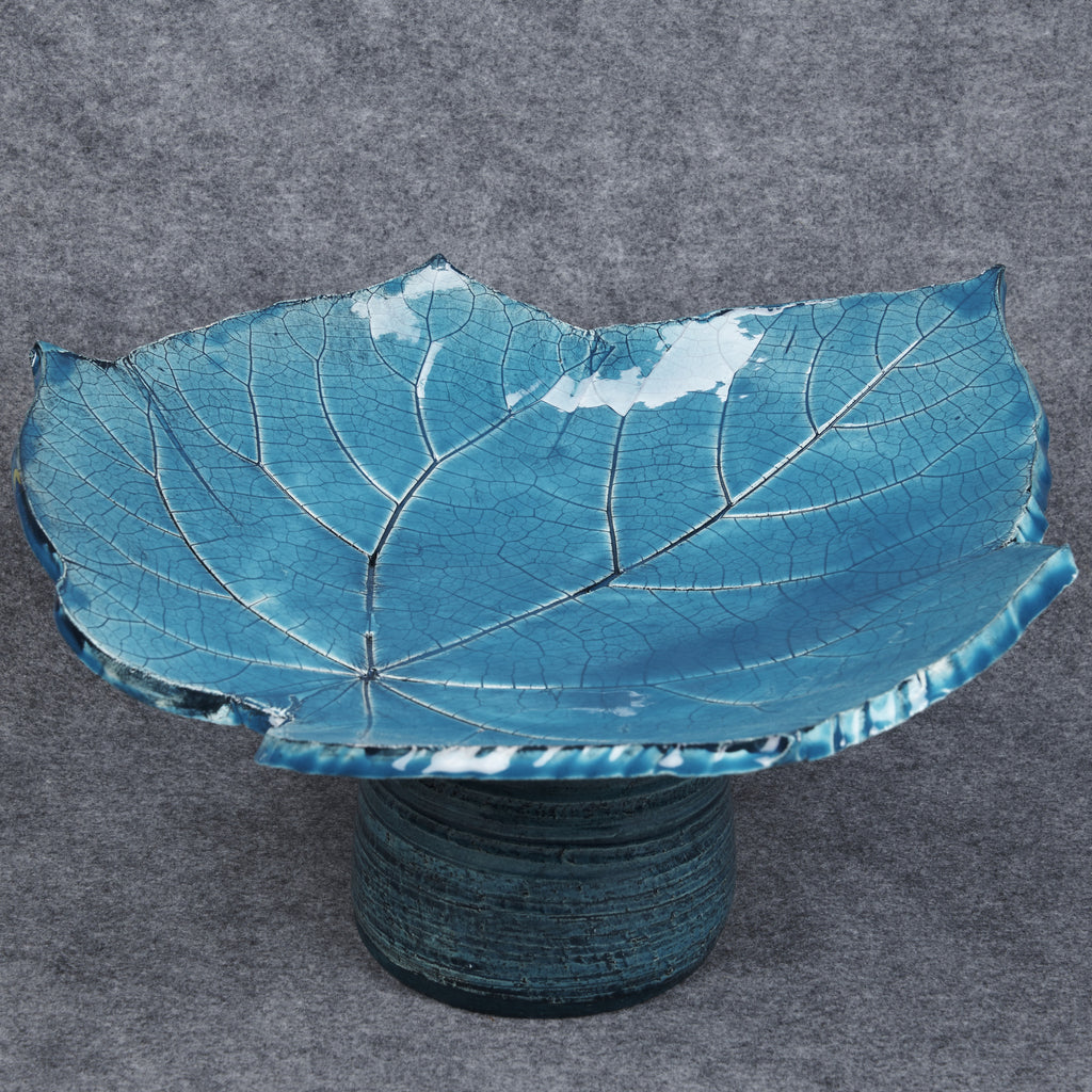 Caribbean Sea Leaf
