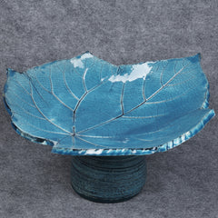 Caribbean Sea Leaf