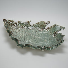 Ragged Oak
