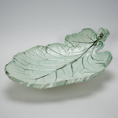 Kool Collard