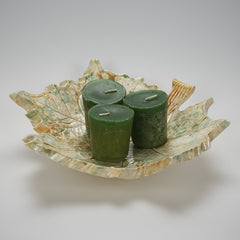 Creamy Green Sycamore