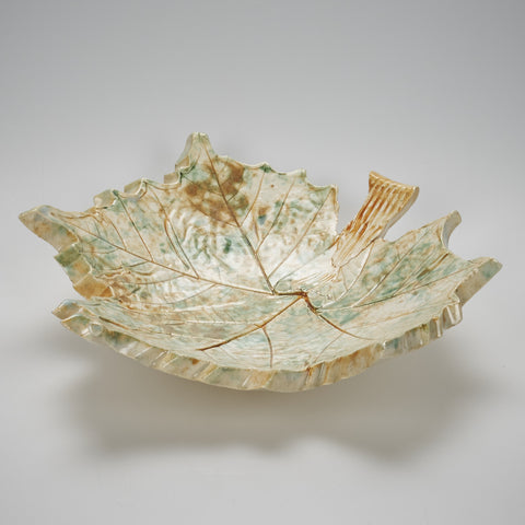 Creamy Green Sycamore