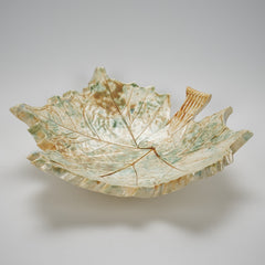Creamy Green Sycamore
