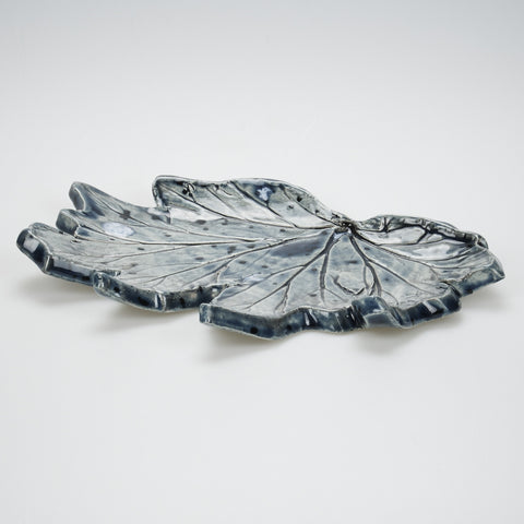 Spikey Sparkling Blue Begonia